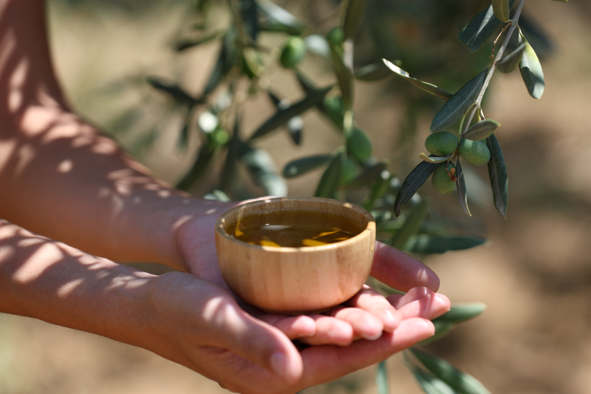 Fresh olive oil tasting