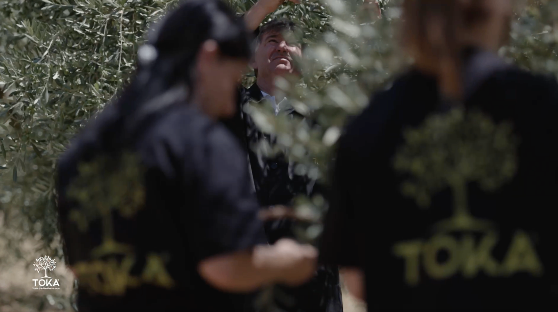 Harvest team at work
